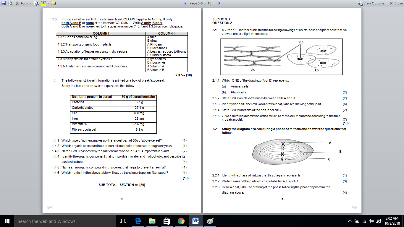 life sciences grade 11 assignment memo term 2
