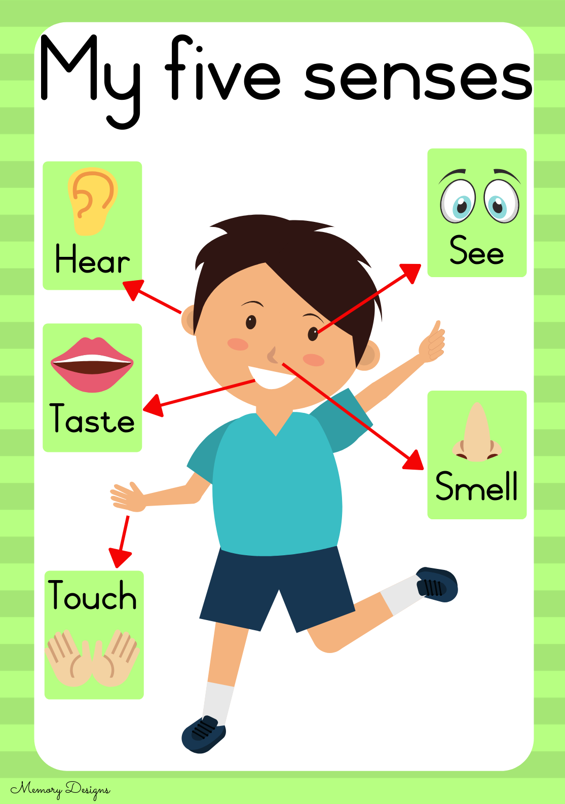 My 5 senses - Teacha!