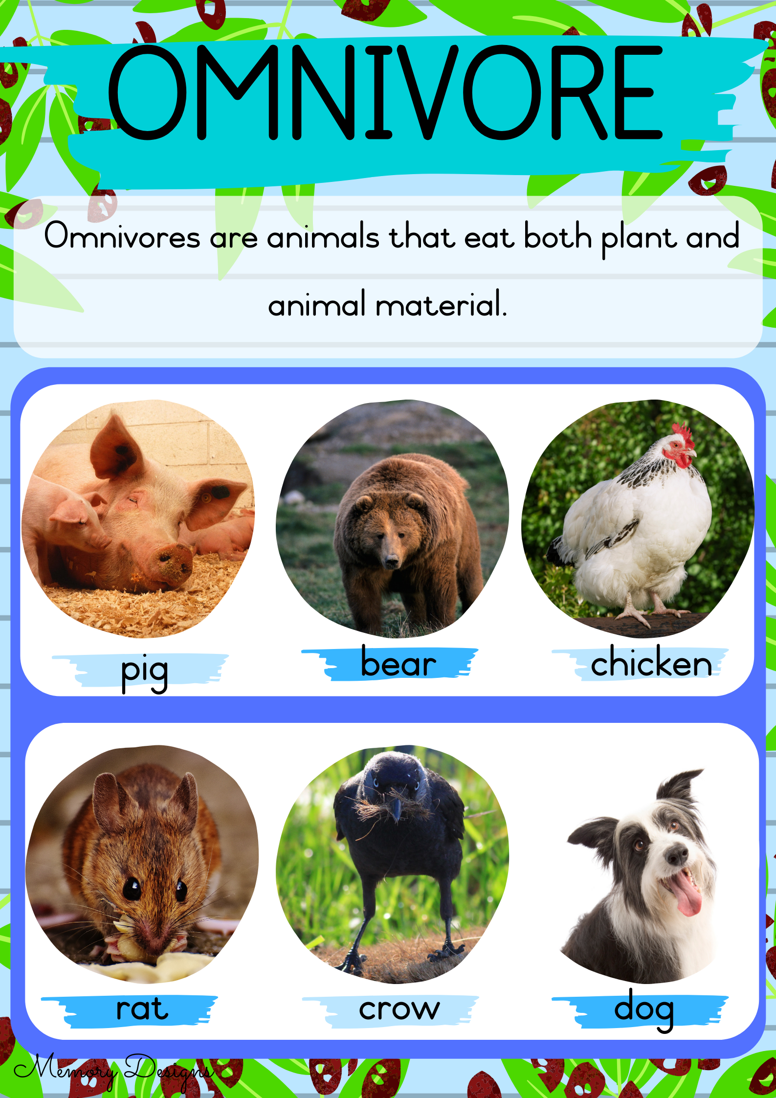 What Is A Carnivore Herbivore And Omnivore Hno At